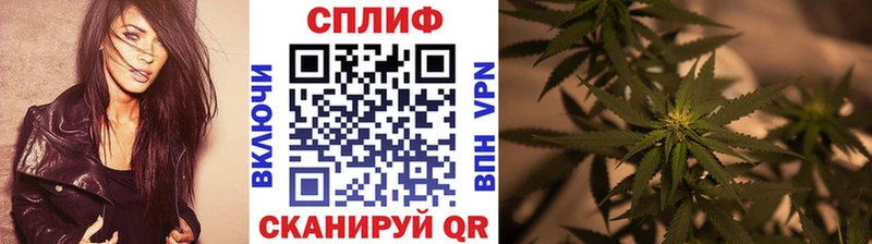 OMG ONION  где продают   Котовск  Канабис гибрид 